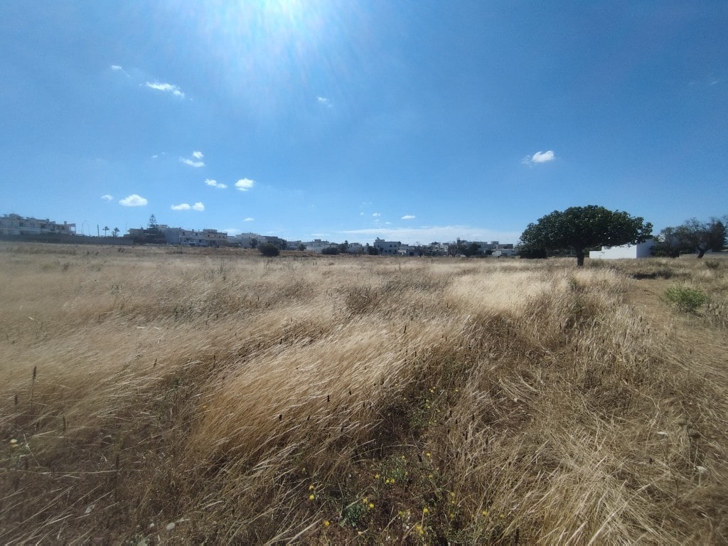 Giano Group Immobiliare